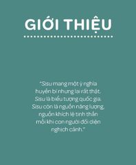 Combo 5 Quyển Phong Cách Sống (SiSu - Vượt Qua Tất Cả + IKIGAI - Chất Nhật Trong Từng Khoảnh Khắc + Vừa Đủ - Đẳng Cấp Sống Của Người Thụy Điển + Sống Thanh Thản Như Người Thụy Điển + Hygge - Hạnh Phúc Từ Những Điều Nhỏ Bé)