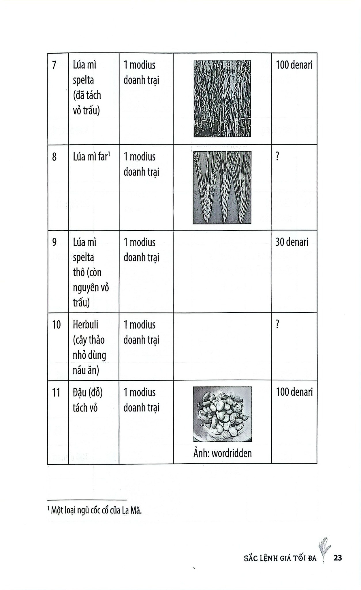 Sắc Lệnh Giá Tối Đa - 
Nhóm 9B