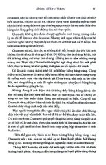 Bông Hồng Vàng Và Bình Minh Mưa - K.G.Paustovsky