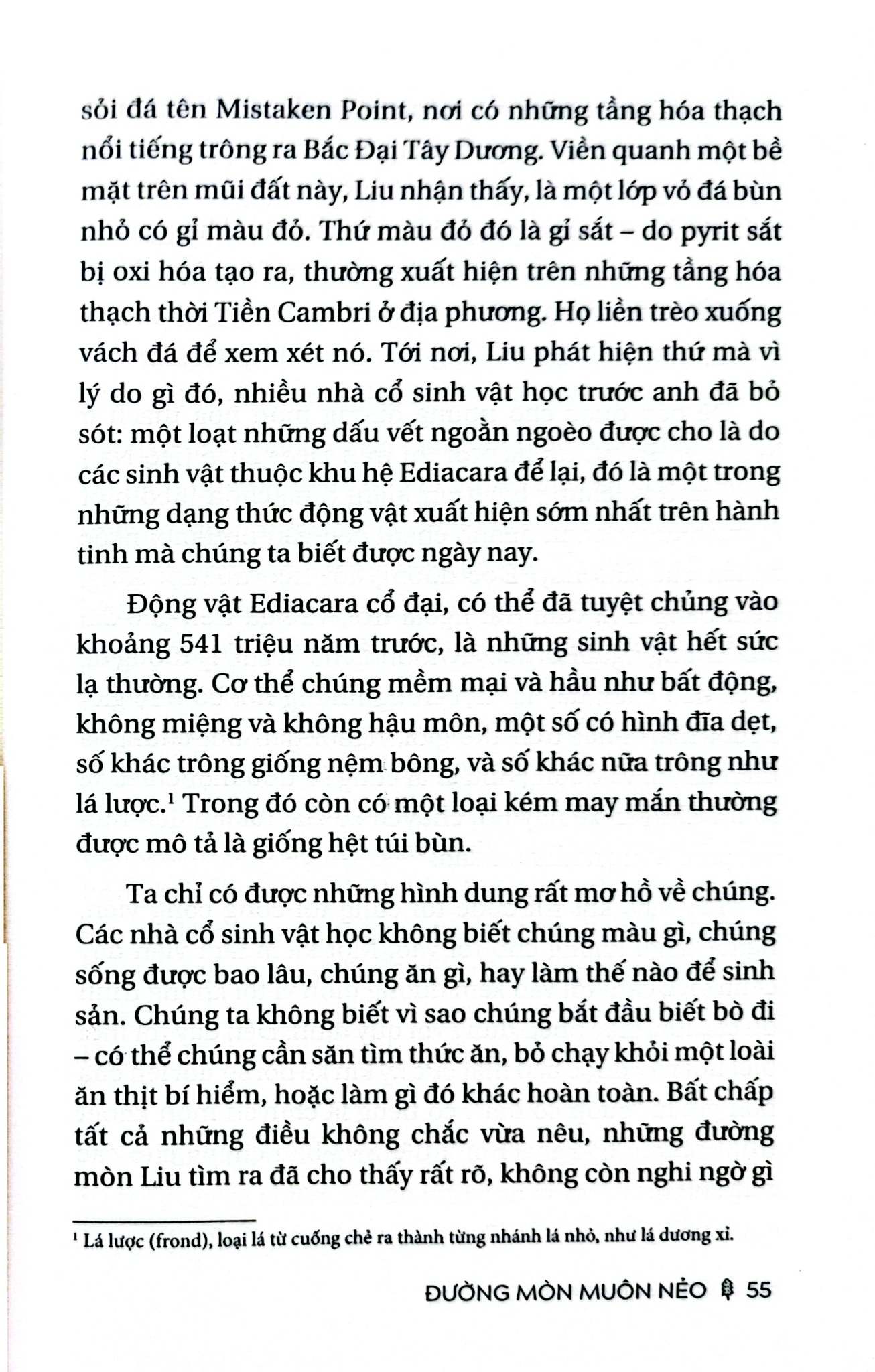 Đường Mòn Muôn Nẻo - Robert Moor