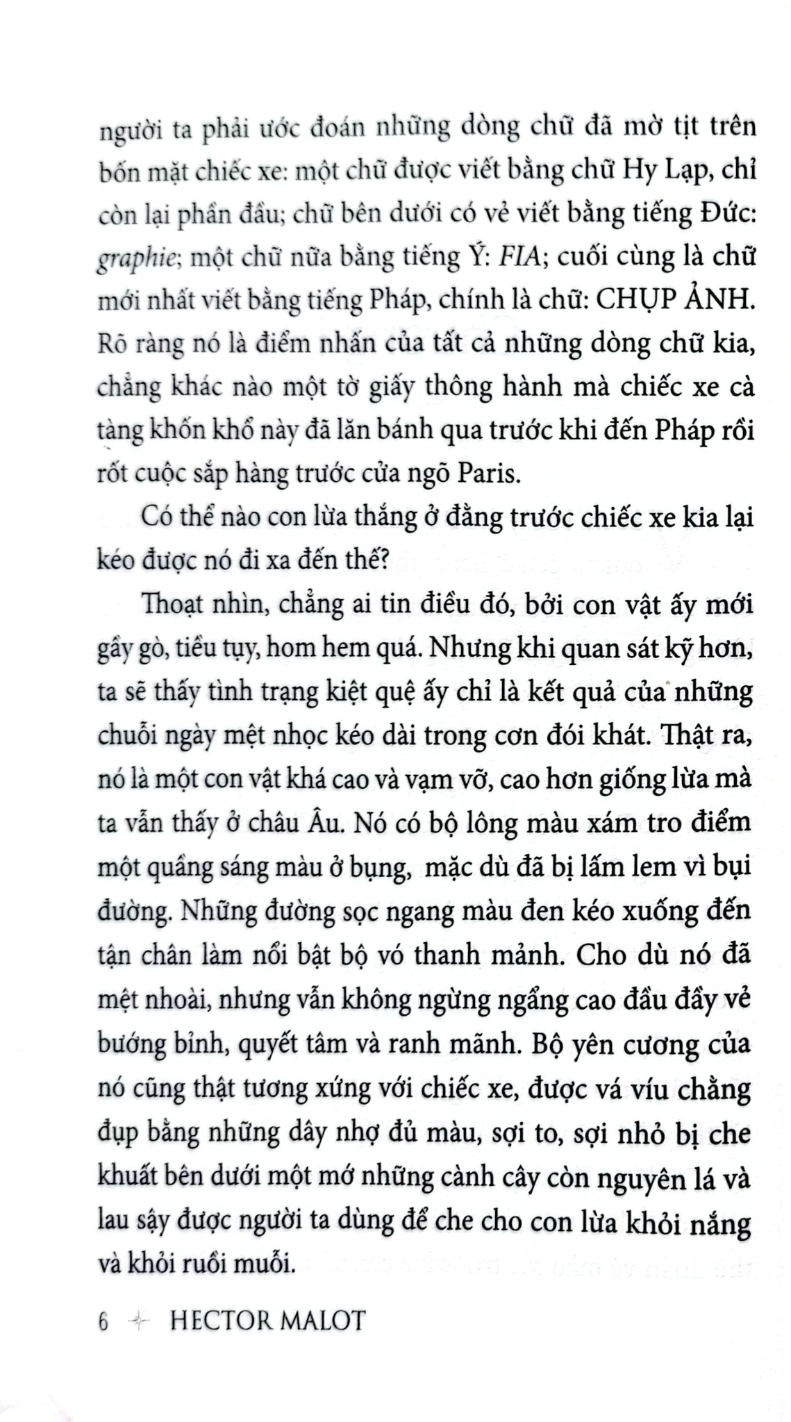 Trong Gia Đình (Huy Hoàng) - 
Hector Malot