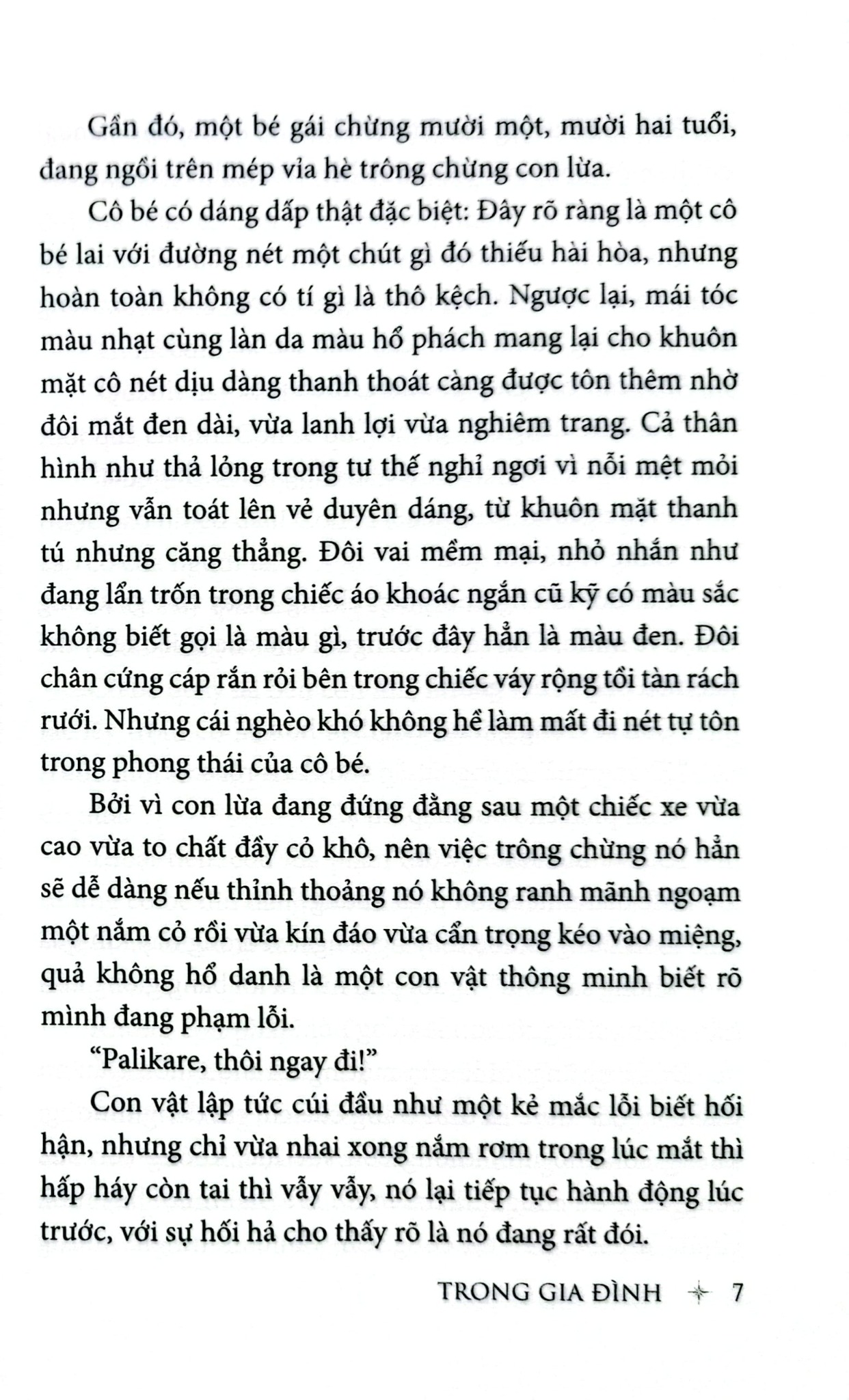 Trong Gia Đình (Huy Hoàng) - 
Hector Malot