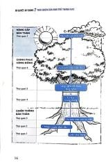 Combo 2 Quyển Đằng Sau Một Quyết Định Lớn + 7 Thói Quen Của Bạn Trẻ Thành Đạt