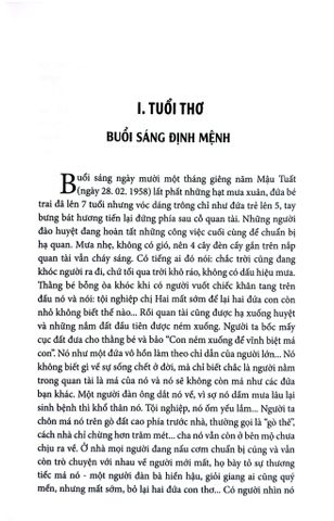  Ký ức niềm tin và khát vọng - Hành trình nhận thức về mô hình phát triển kinh tế Việt Nam - TS. Trần Du Lịch 