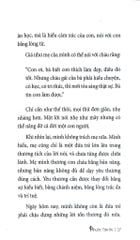 Hành Trình Chữa Lành - Phước Tâm An