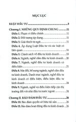 Luật Đầu Tư Năm 2020 ( Sửa Đổi, Bổ Sung Năm 2020,2022,2023,2024,2025) (DH) - Quốc Hội