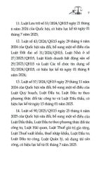 Luật Đầu Tư Năm 2020 ( Sửa Đổi, Bổ Sung Năm 2020,2022,2023,2024,2025) (DH) - Quốc Hội