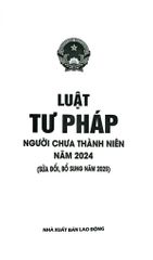 Luật Tư Pháp Người Chưa Thành Niên Năm 2024 (Sửa Đổi, Bổ Sung Năm 2025) (NXBLĐ) - Quốc hội