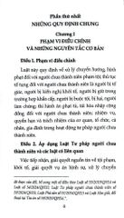Luật Tư Pháp Người Chưa Thành Niên Năm 2024 (Sửa Đổi, Bổ Sung Năm 2025) (NXBLĐ) - Quốc hội