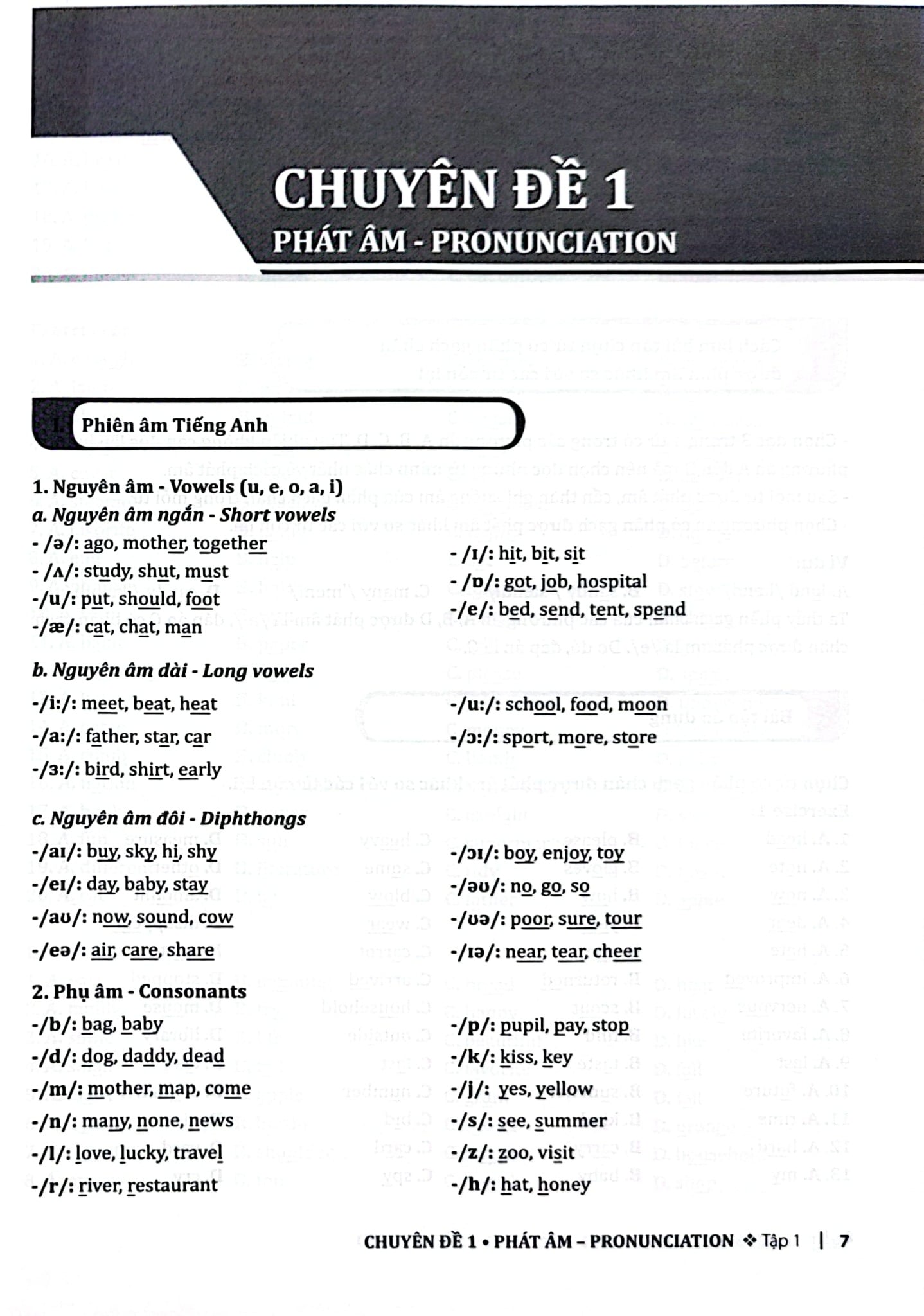 Combo 25 Chuyên Đề Ngữ Pháp Tiếng Anh Trọng Tâm - Tập 1 + 2 (Bộ 2 Cuốn) - Trang Anh