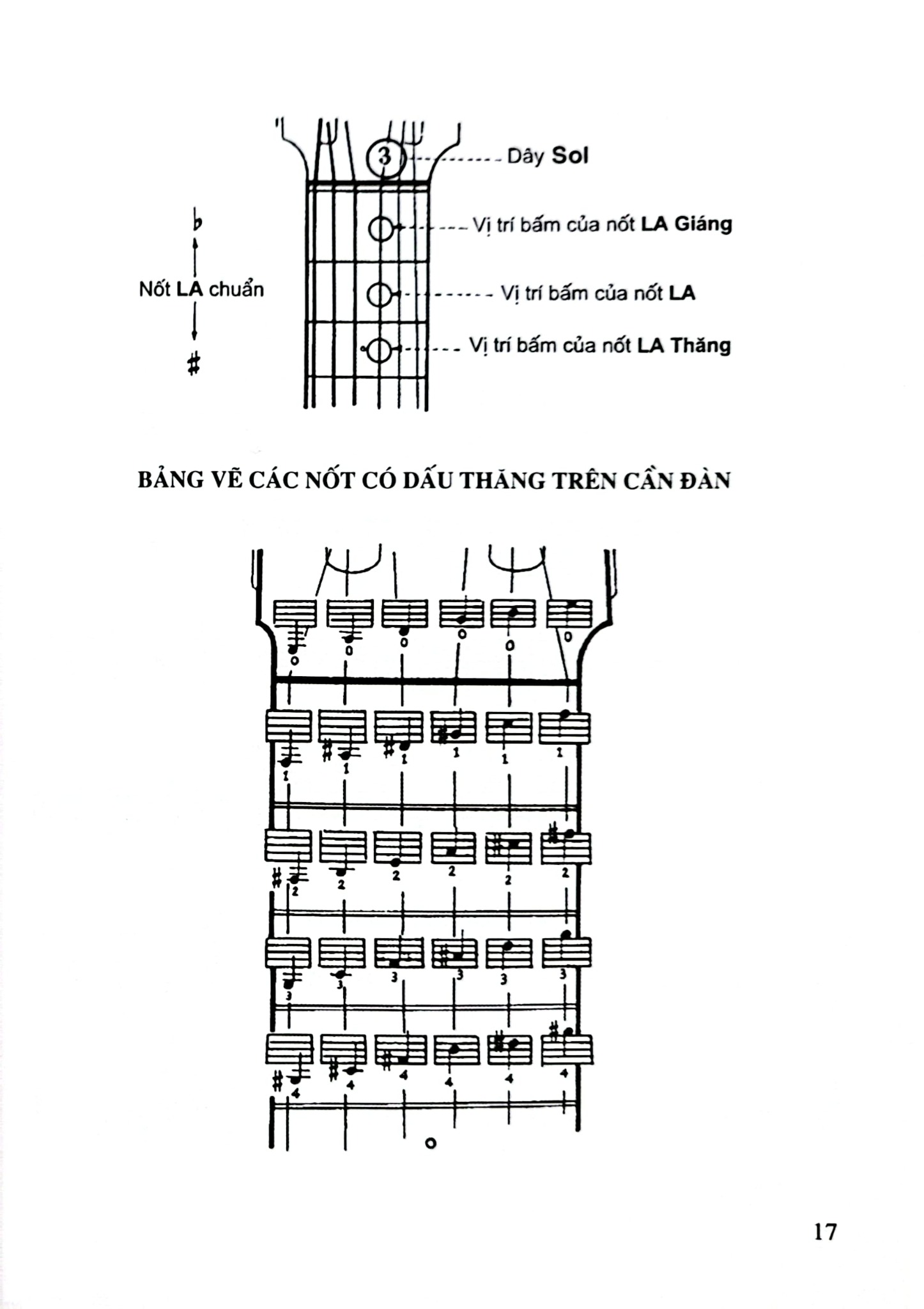 Phương Pháp Học Ghi-Ta - Tạ Tấn