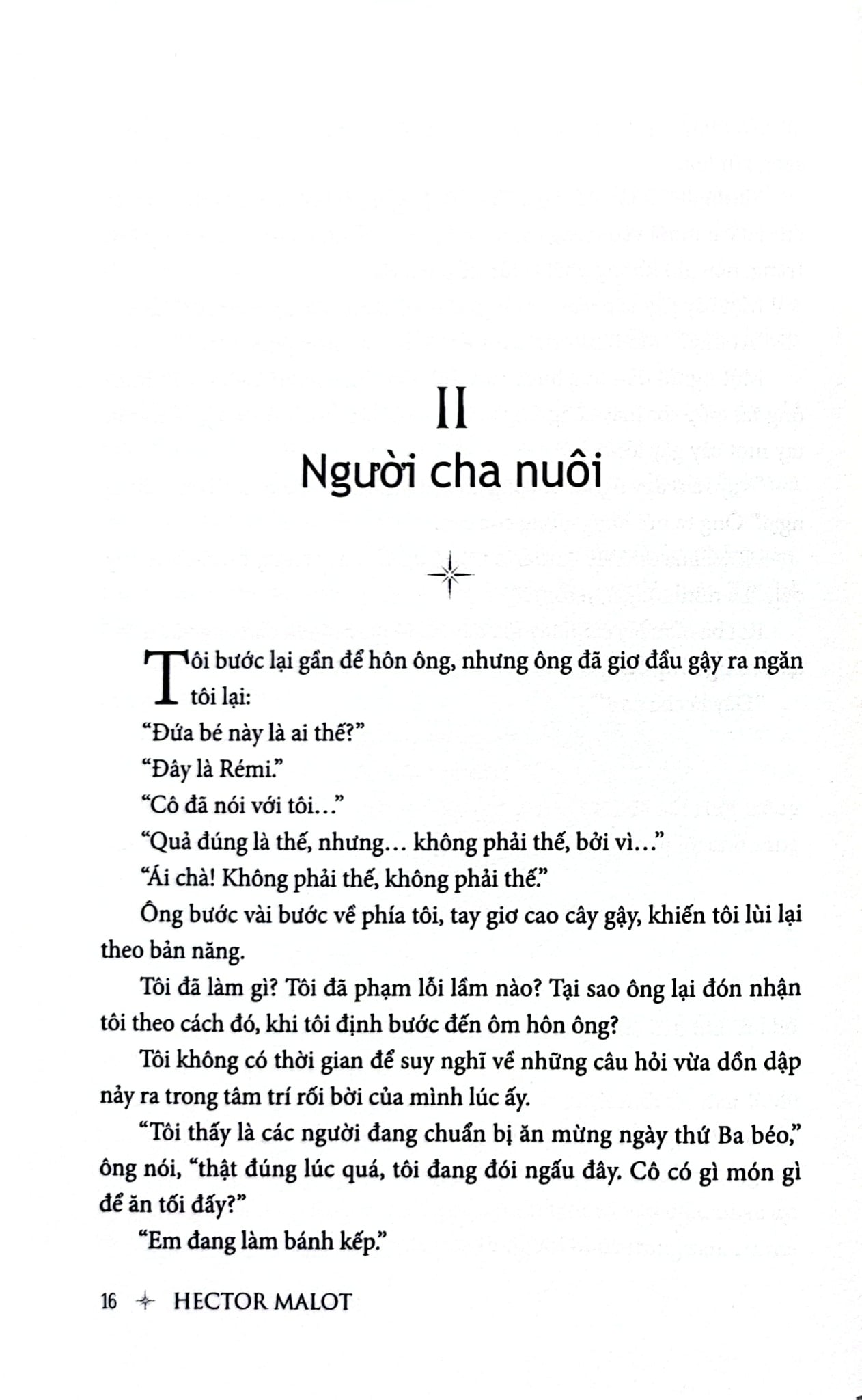 Không Gia Đình - Bìa Cứng  - Hector Malot
