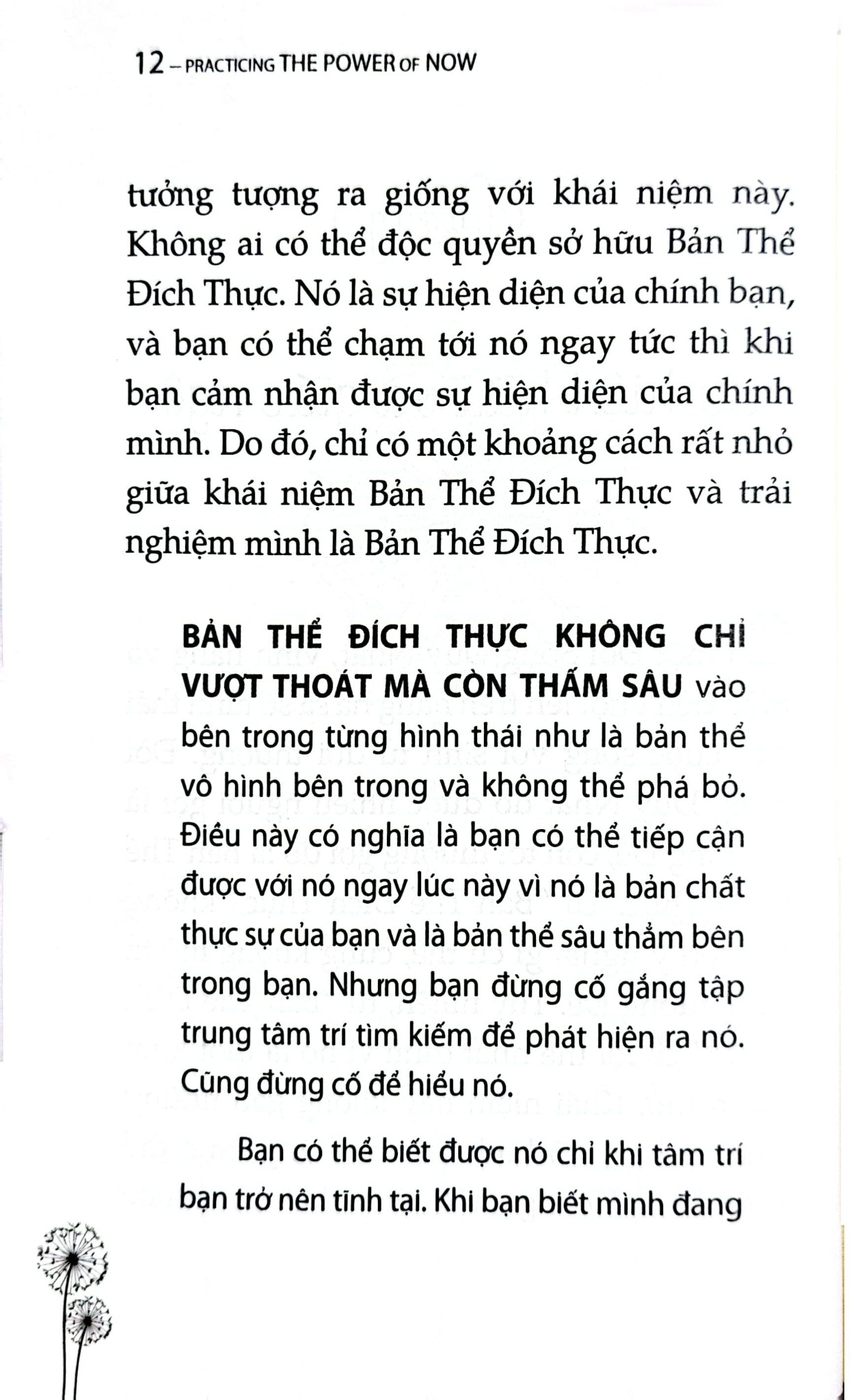 Combo 2 Quyển: Sức Mạnh Của Hiện Tại + Trải Nghiệm Sức Mạnh Hiện Tại