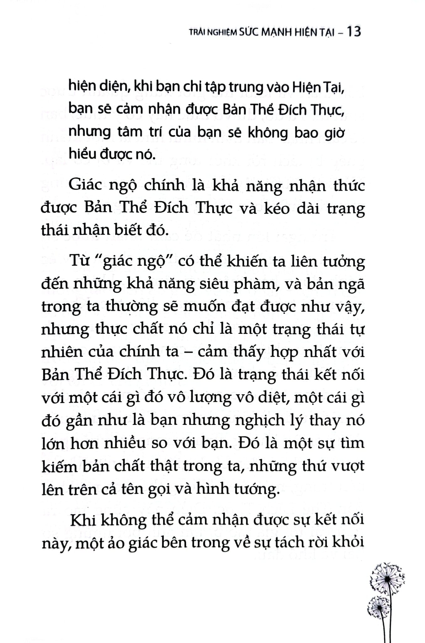 Combo 2 Quyển: Sức Mạnh Của Hiện Tại + Trải Nghiệm Sức Mạnh Hiện Tại