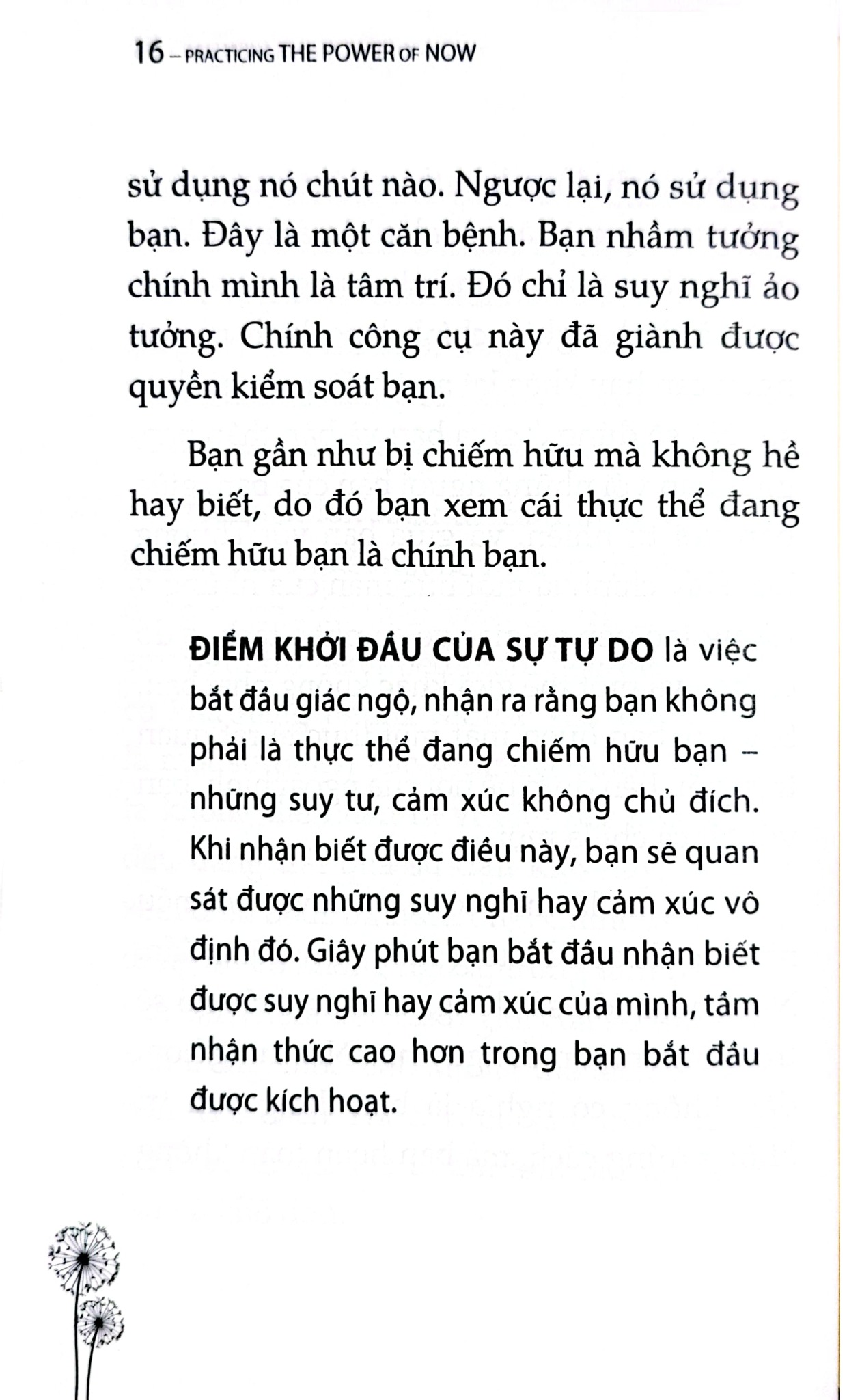 Combo 2 Quyển: Sức Mạnh Của Hiện Tại + Trải Nghiệm Sức Mạnh Hiện Tại