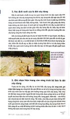 Xây Nhà - Ngàn Điều Cần Biết - Ths. KTS. Ngô Mậu Chung, Huỳnh Thanh Phương