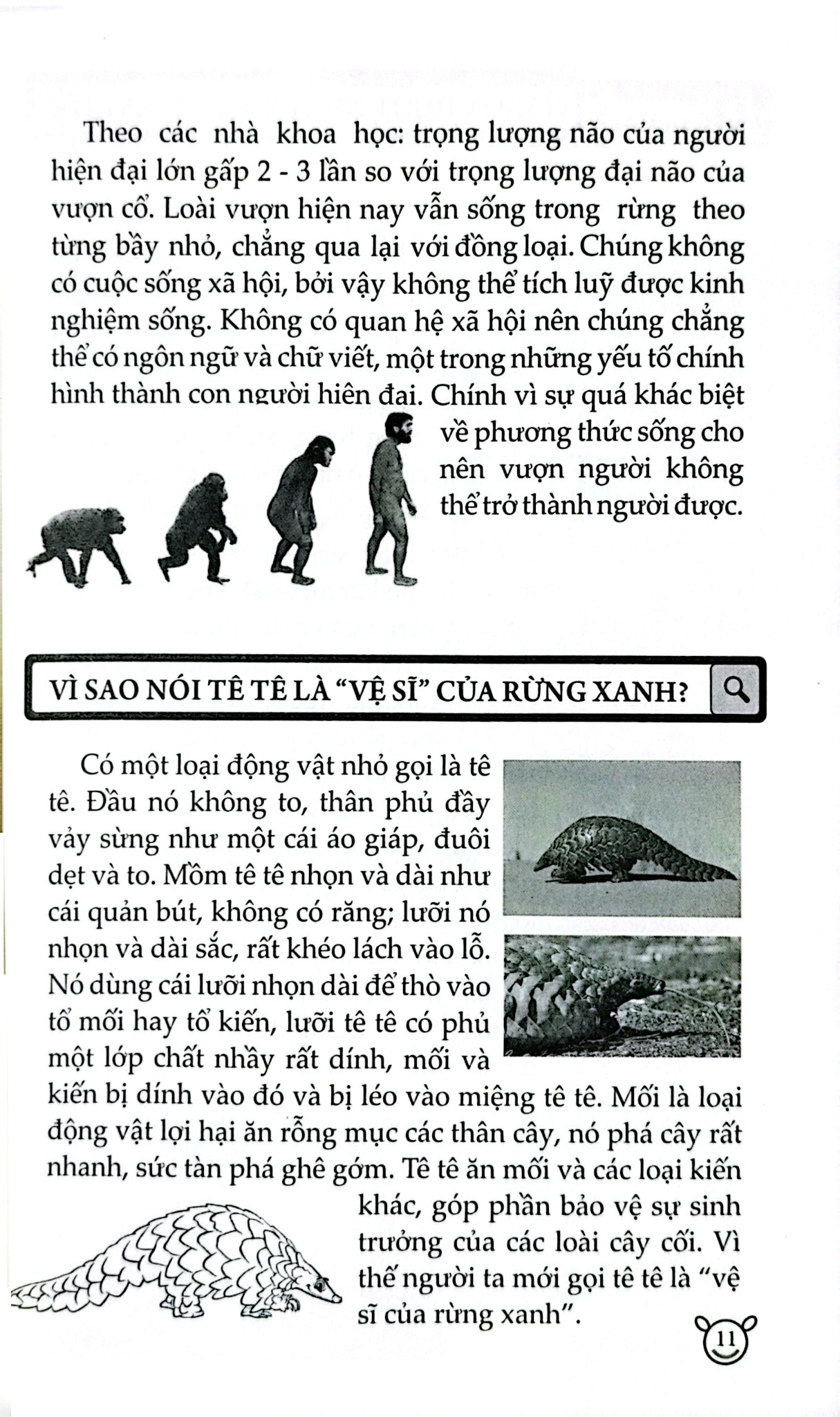 10 Vạn Câu Hỏi Vì Sao? - Động Vật - Đức Anh