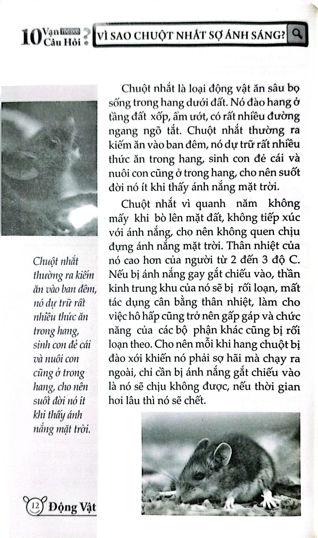 10 Vạn Câu Hỏi Vì Sao? - Động Vật - Đức Anh