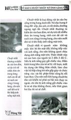 10 Vạn Câu Hỏi Vì Sao? - Động Vật - Đức Anh