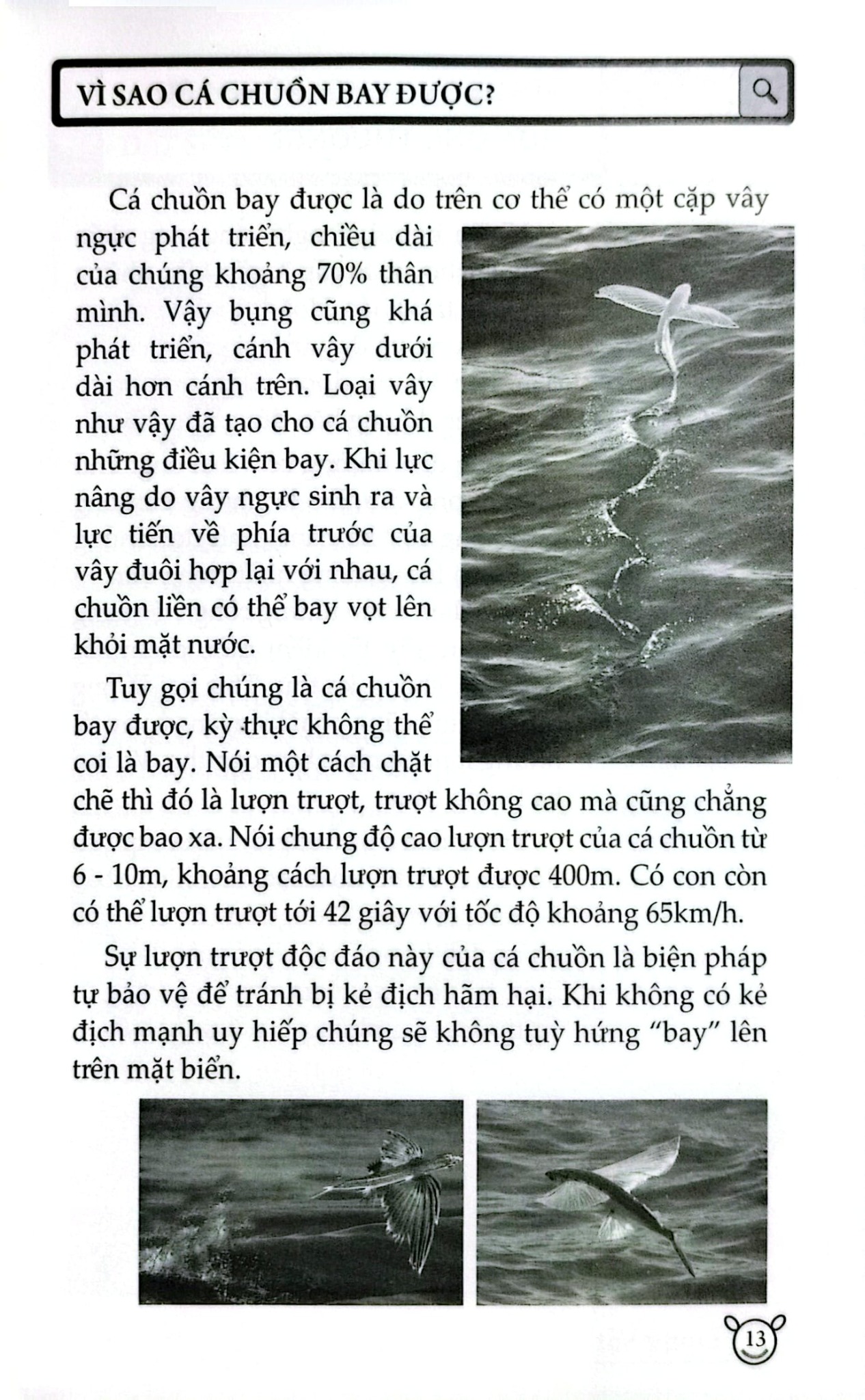 10 Vạn Câu Hỏi Vì Sao? - Động Vật - Đức Anh