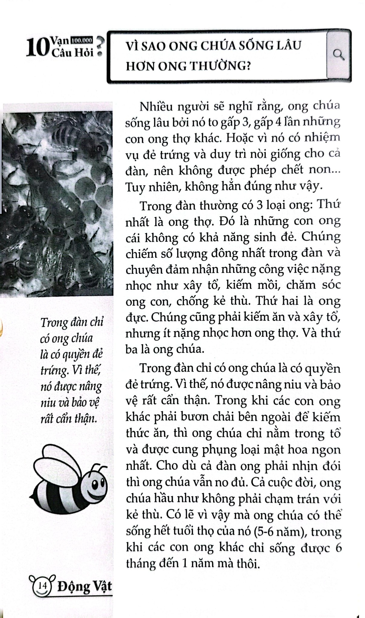 10 Vạn Câu Hỏi Vì Sao? - Động Vật - Đức Anh