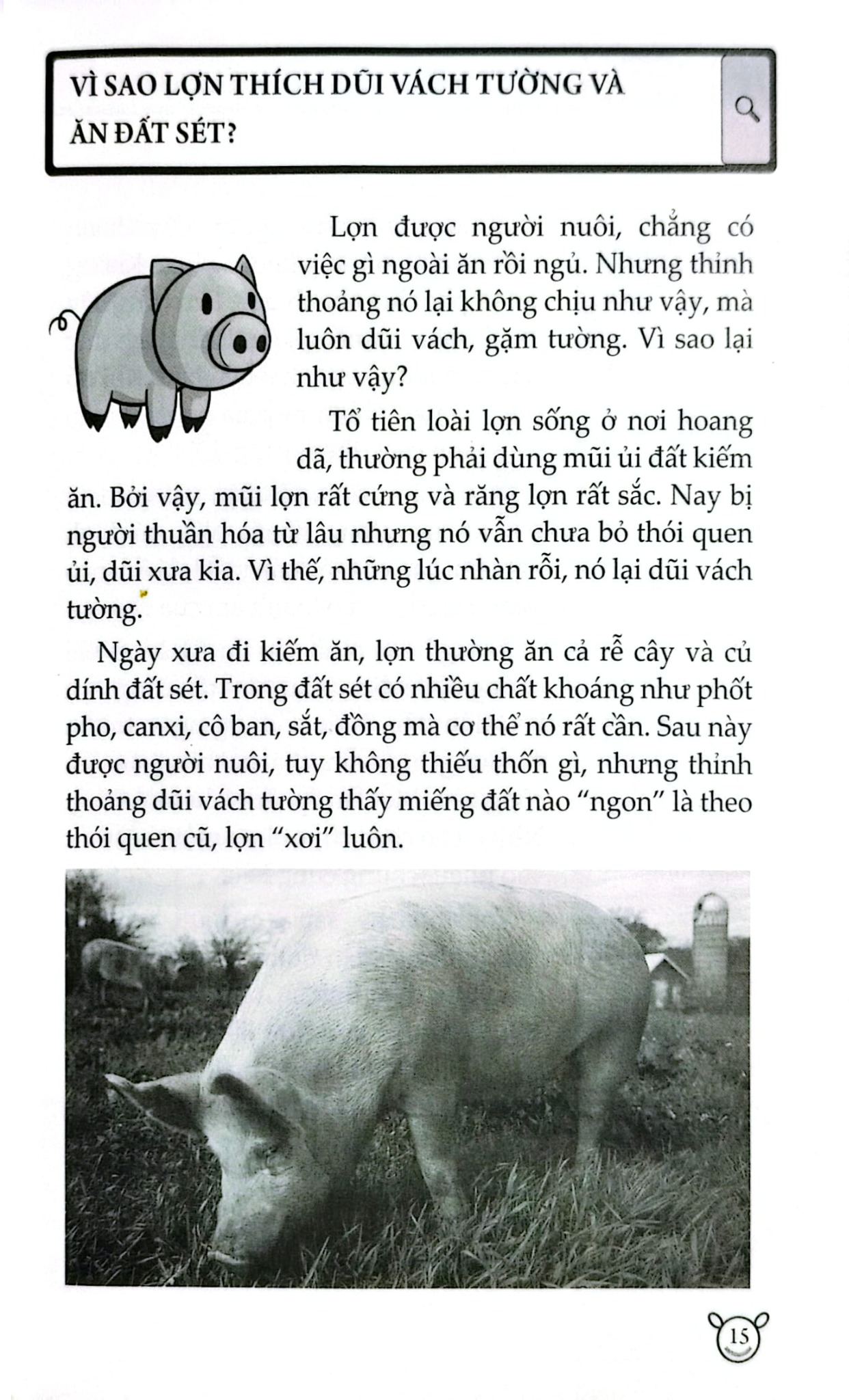 10 Vạn Câu Hỏi Vì Sao? - Động Vật - Đức Anh