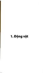 10 Vạn Câu Hỏi Vì Sao? - Động Vật - Đức Anh