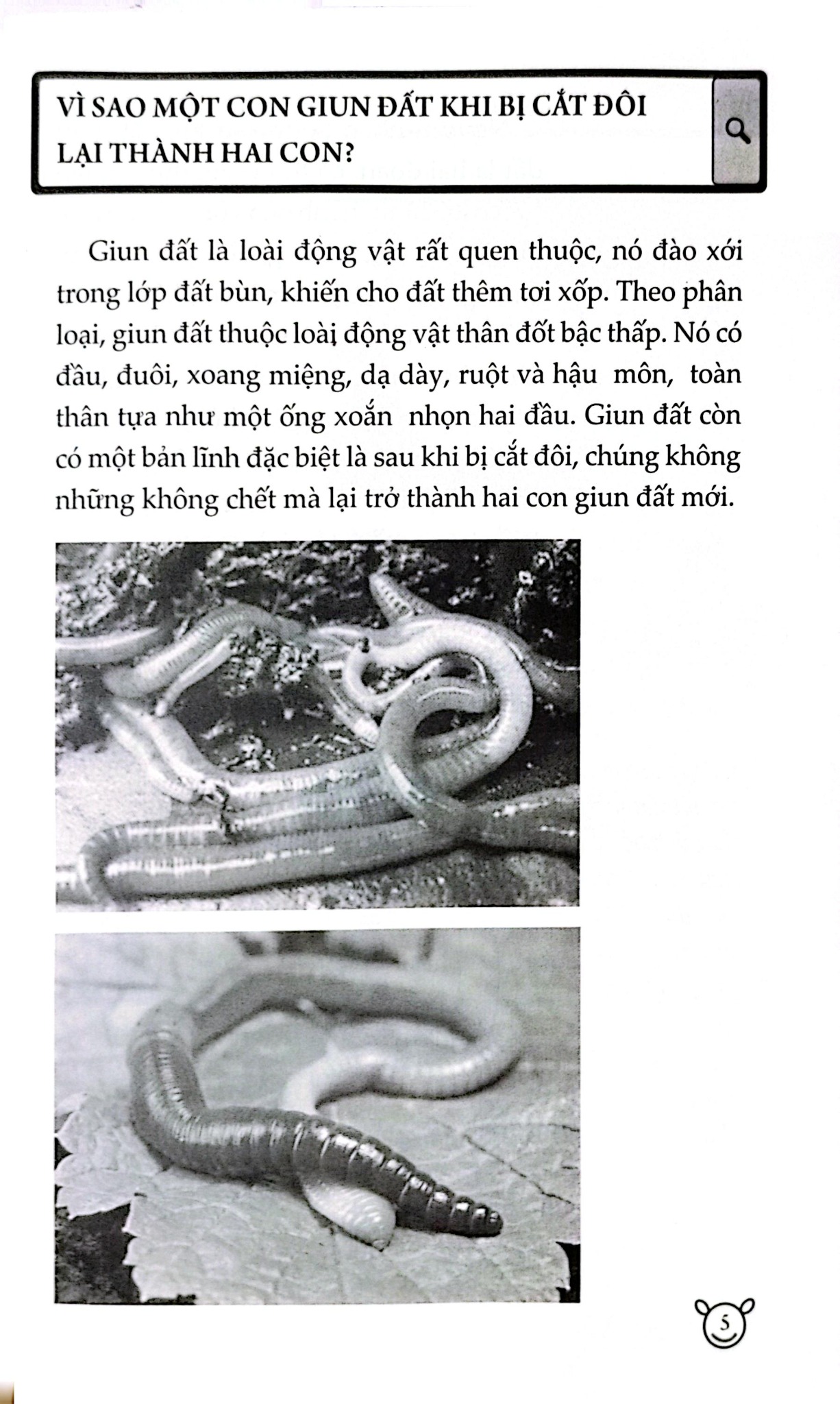 10 Vạn Câu Hỏi Vì Sao? - Động Vật - Đức Anh