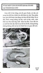 10 Vạn Câu Hỏi Vì Sao? - Động Vật - Đức Anh