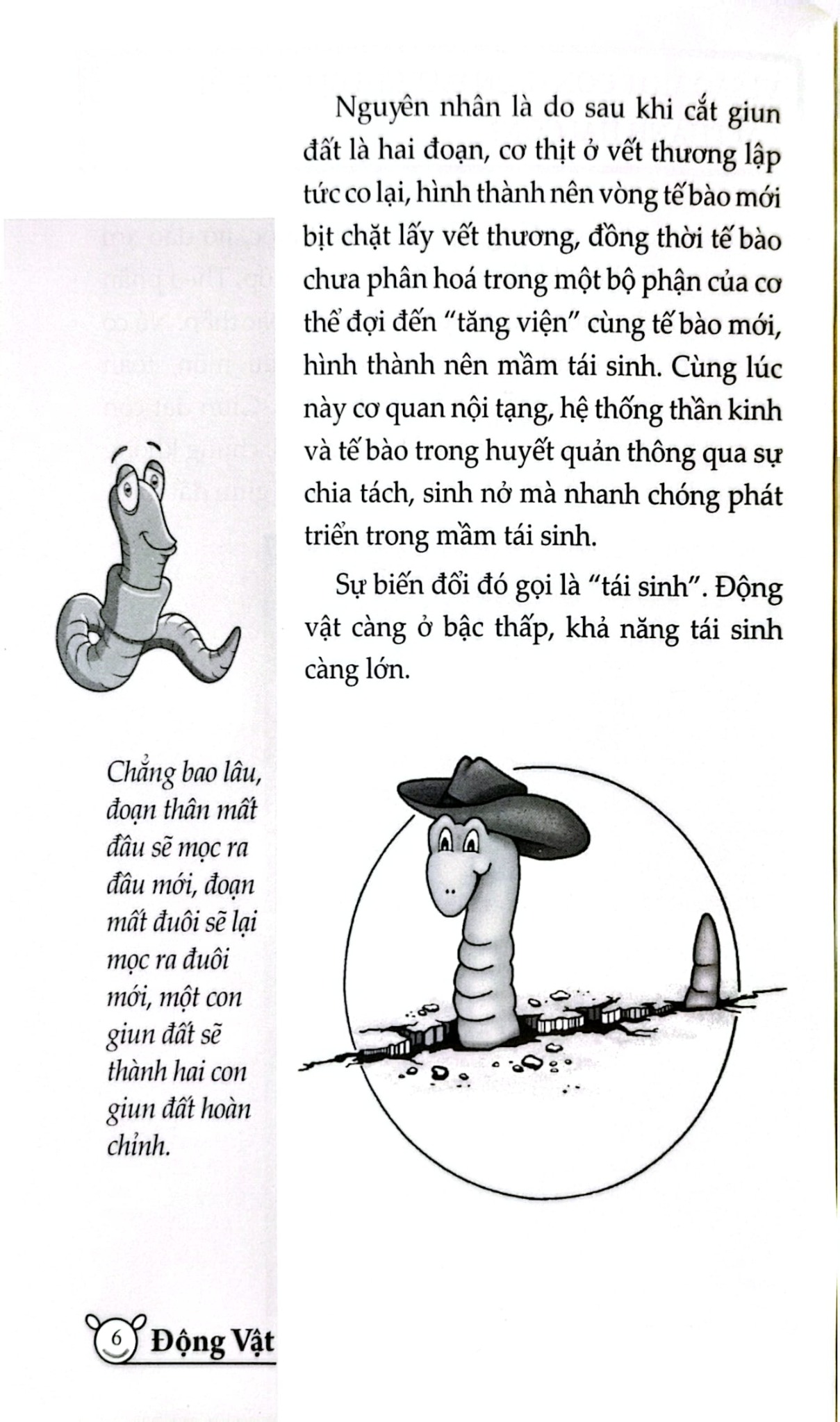 10 Vạn Câu Hỏi Vì Sao? - Động Vật - Đức Anh