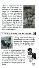 10 Vạn Câu Hỏi Vì Sao? - Động Vật - Đức Anh