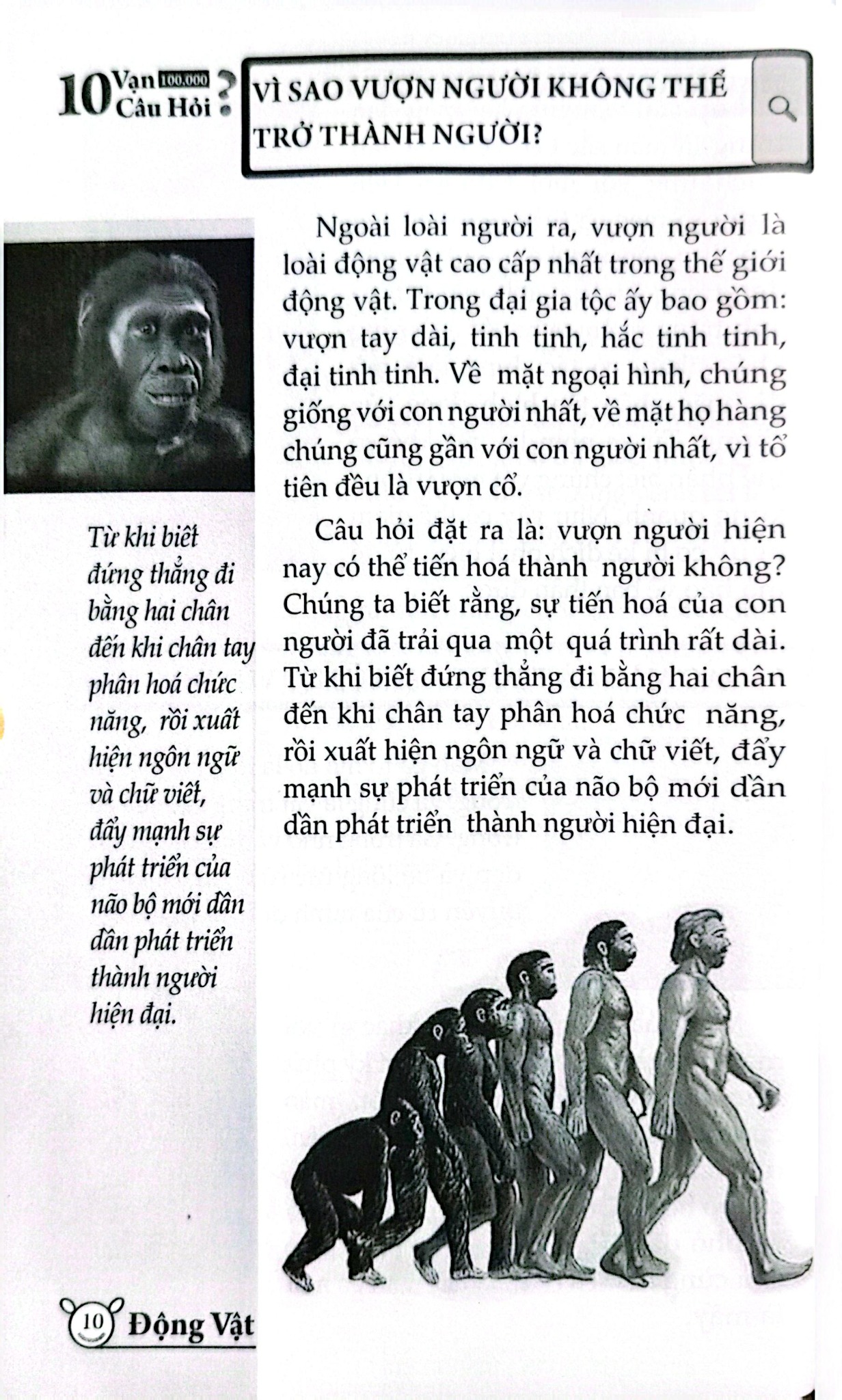 10 Vạn Câu Hỏi Vì Sao? - Động Vật - Đức Anh