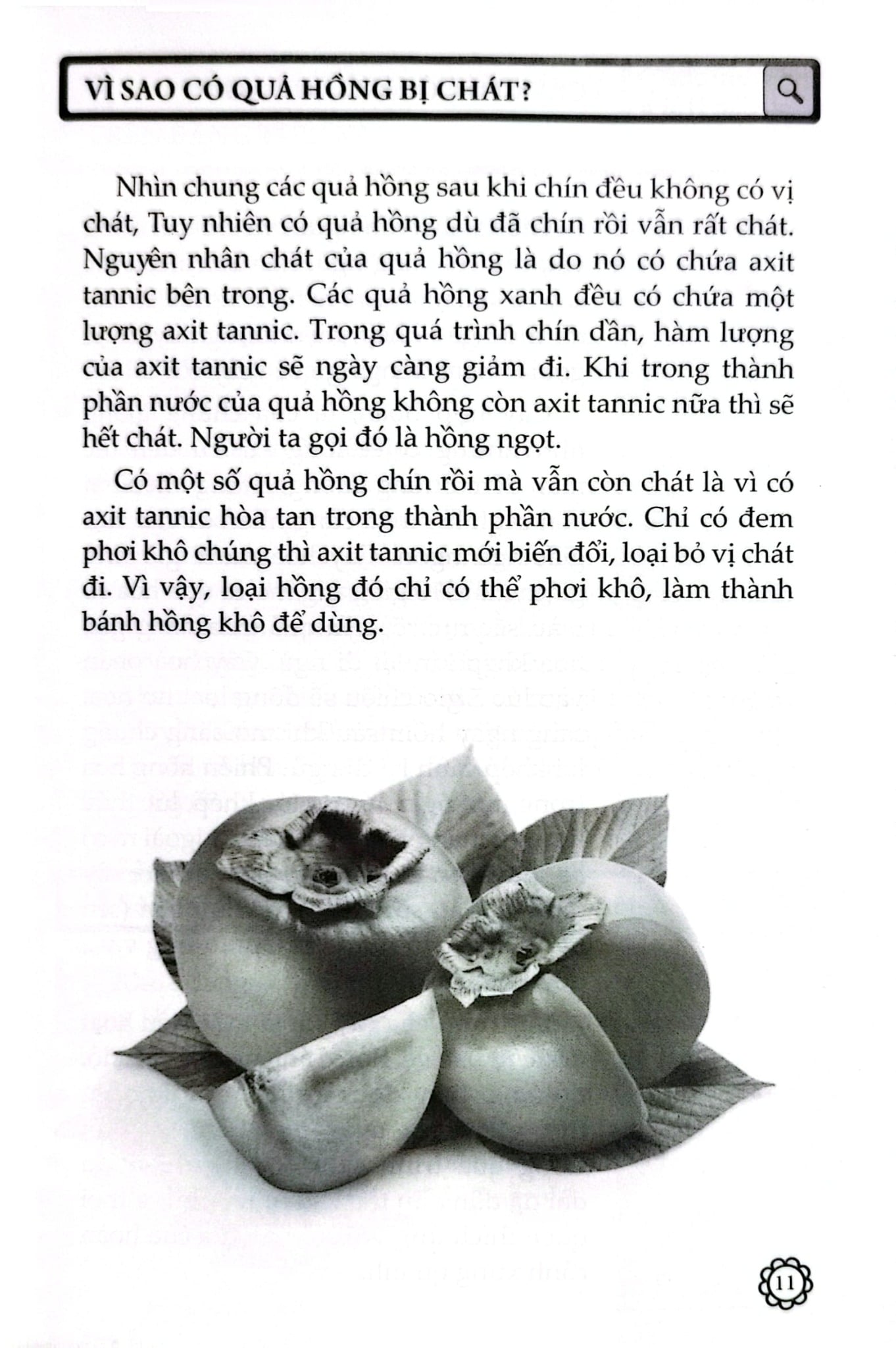 10 Vạn Câu Hỏi Vì Sao? - Thực Vật - Đức Anh