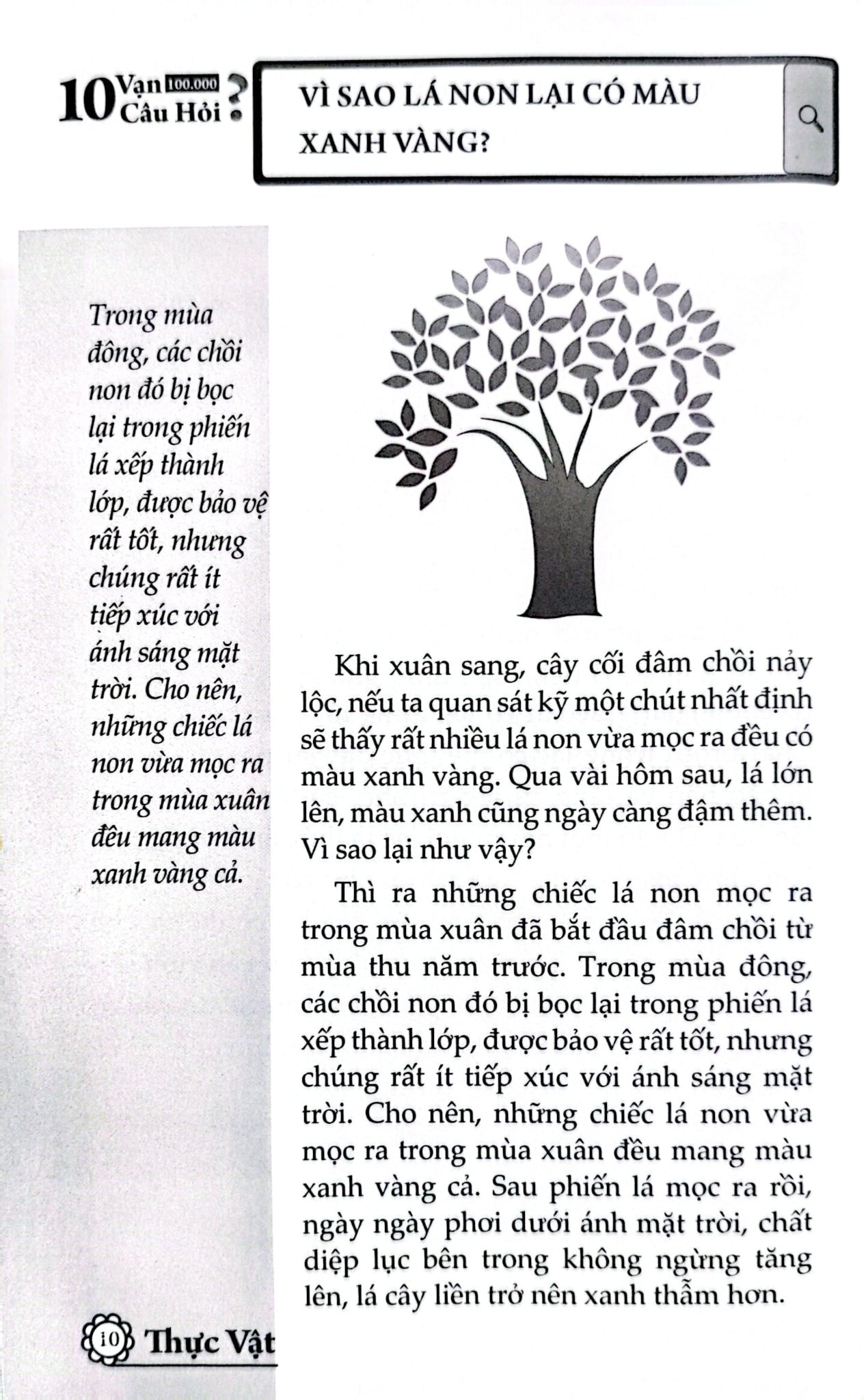 10 Vạn Câu Hỏi Vì Sao? - Thực Vật - Đức Anh