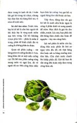 6 Mùa (Six Seasons James Beard Foundation Award Winner) - Joshua McFadden & Martha Holmberg