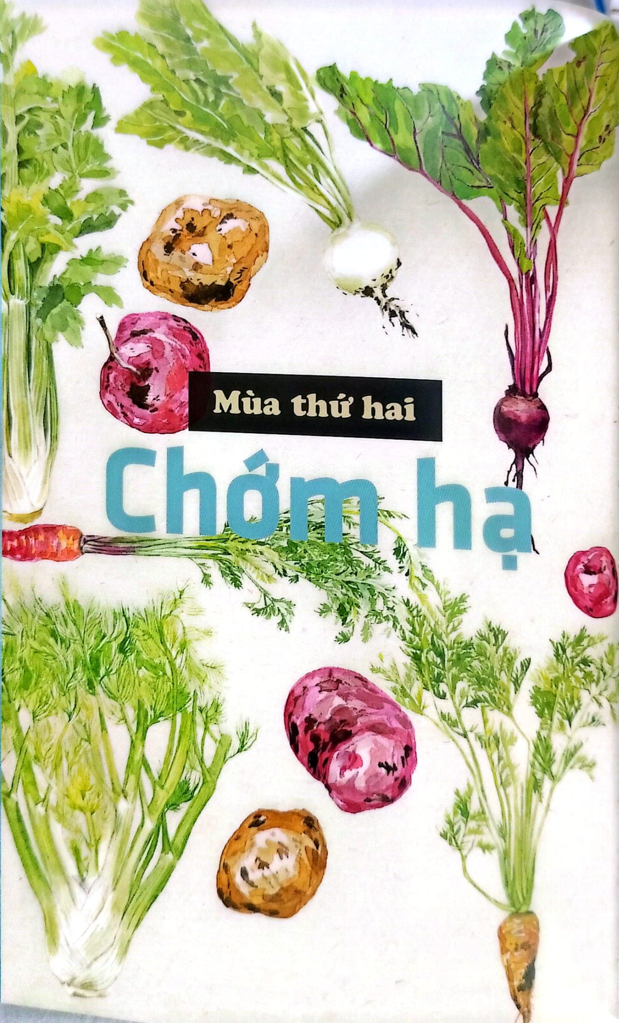 6 Mùa (Six Seasons James Beard Foundation Award Winner) - Joshua McFadden & Martha Holmberg