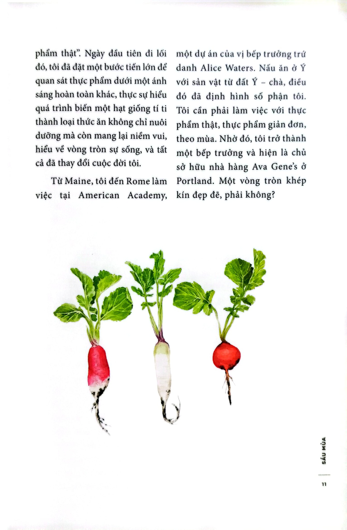 6 Mùa (Six Seasons James Beard Foundation Award Winner) - Joshua McFadden & Martha Holmberg