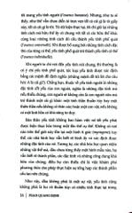 Triết Học Hiện Sinh Là Gì? - Phan Quang Định