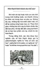 Tri Thức Phổ Thông - Những Dấu Ấn Định Hình Thế Giới - Thời Đại Khủng Long Là Gì? - 
Megan Stine, Gregory Copeland