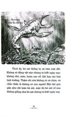 Tri Thức Phổ Thông - Những Dấu Ấn Định Hình Thế Giới - Thời Đại Khủng Long Là Gì? - 
Megan Stine, Gregory Copeland