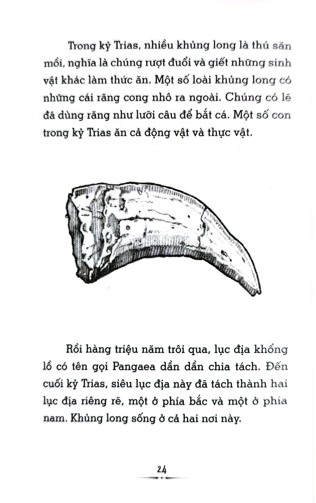 Tri Thức Phổ Thông - Những Dấu Ấn Định Hình Thế Giới - Thời Đại Khủng Long Là Gì? - 
Megan Stine, Gregory Copeland