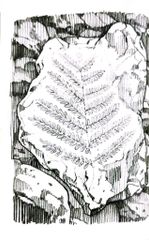 Tri Thức Phổ Thông - Những Dấu Ấn Định Hình Thế Giới - Thời Đại Khủng Long Là Gì? - 
Megan Stine, Gregory Copeland