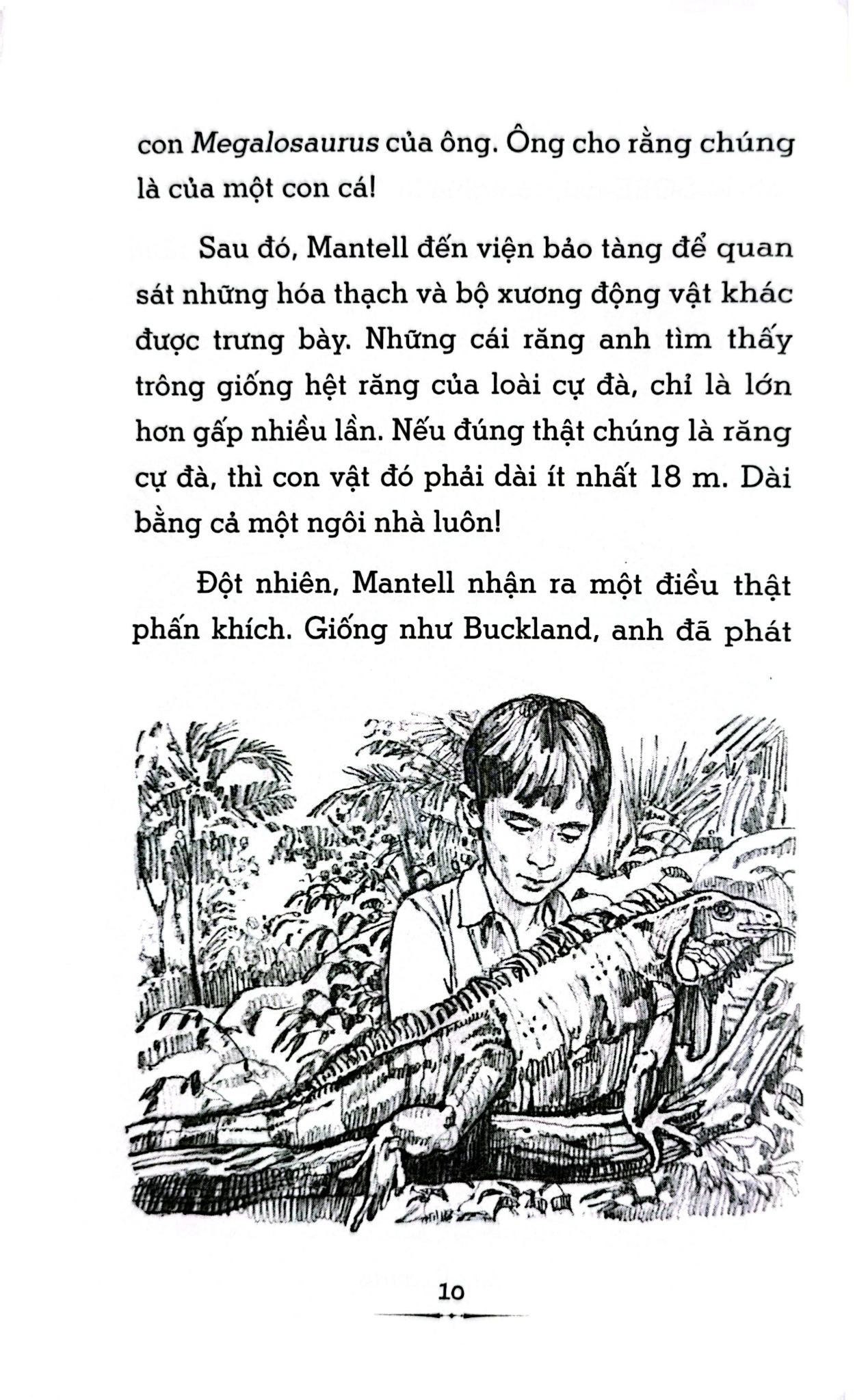 Tri Thức Phổ Thông - Những Dấu Ấn Định Hình Thế Giới - Thời Đại Khủng Long Là Gì? - 
Megan Stine, Gregory Copeland