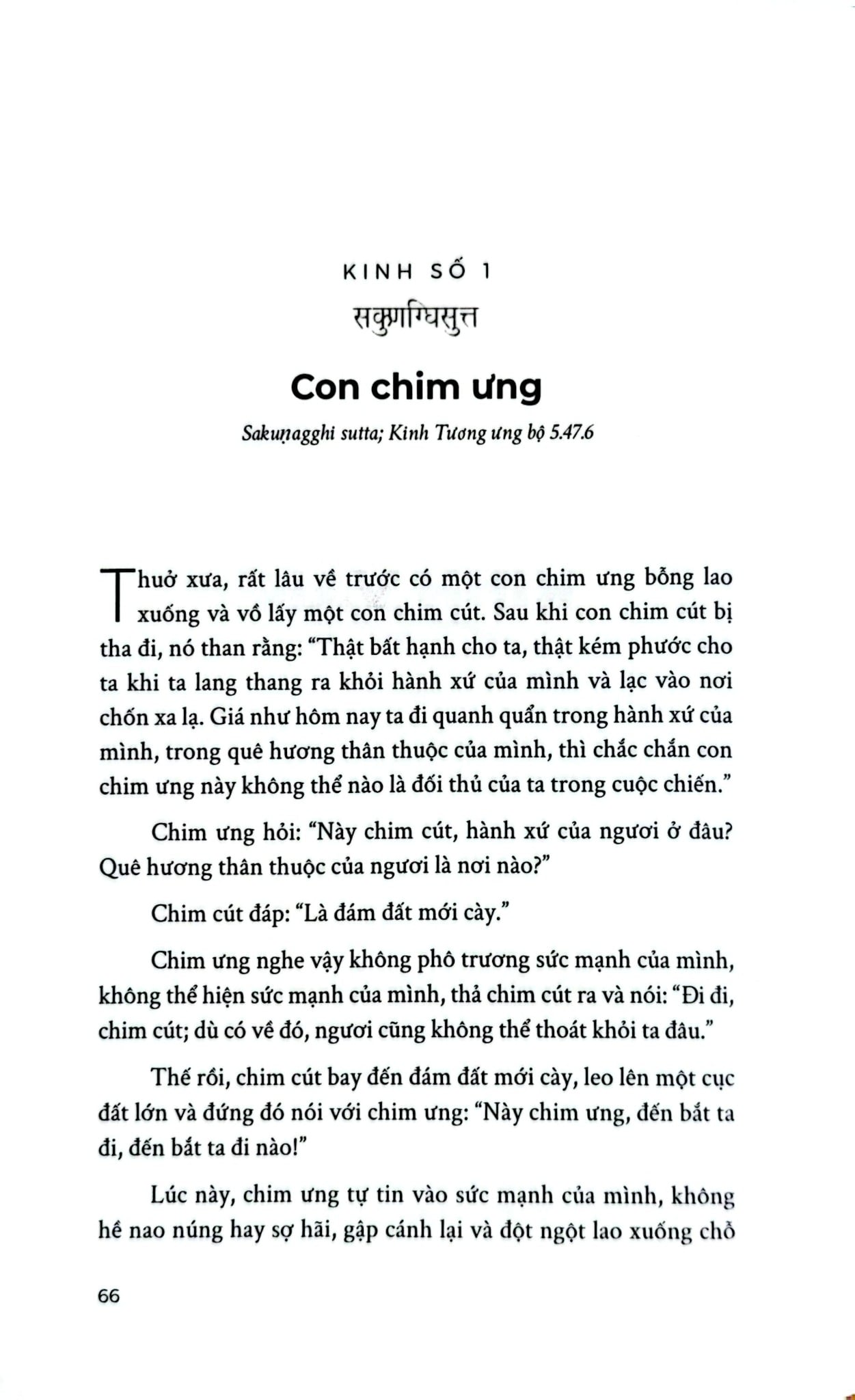 Những Tinh Túy Chọn Lọc Trong Kinh Tạng Nikāya - Bản Đặc Biệt Bìa Da - Glenn Wallis