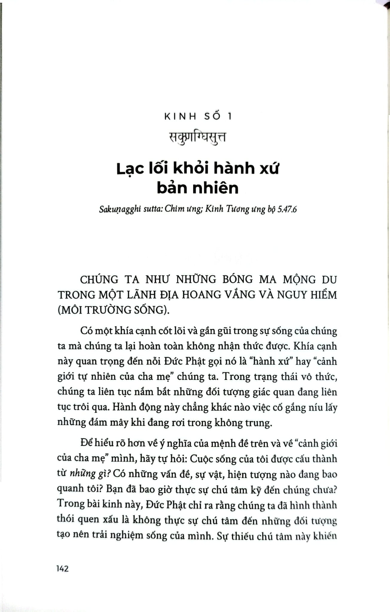 Những Tinh Túy Chọn Lọc Trong Kinh Tạng Nikāya - Bản Đặc Biệt Bìa Da - Glenn Wallis