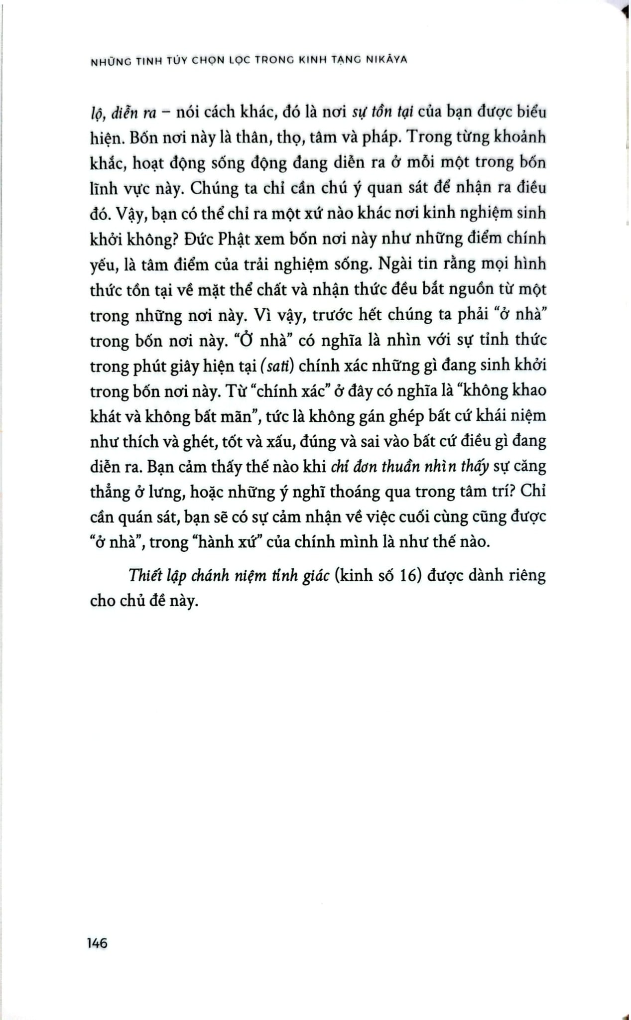 Những Tinh Túy Chọn Lọc Trong Kinh Tạng Nikāya - Bản Đặc Biệt Bìa Da - Glenn Wallis