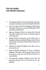 Tầm Nhìn Của Đức Đạt Lai Lạt Ma Về Thế Giới - Bản Đặc Biệt Bìa Da - Daniel Goleman