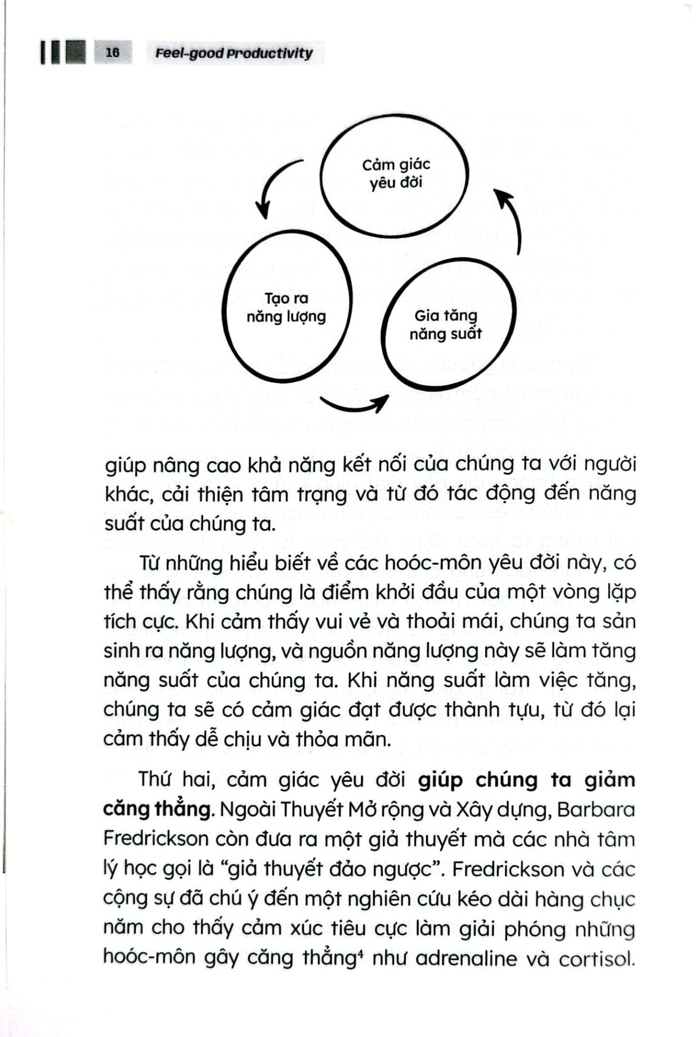 Vui Với Việc Mình Làm - Ali Abdaal