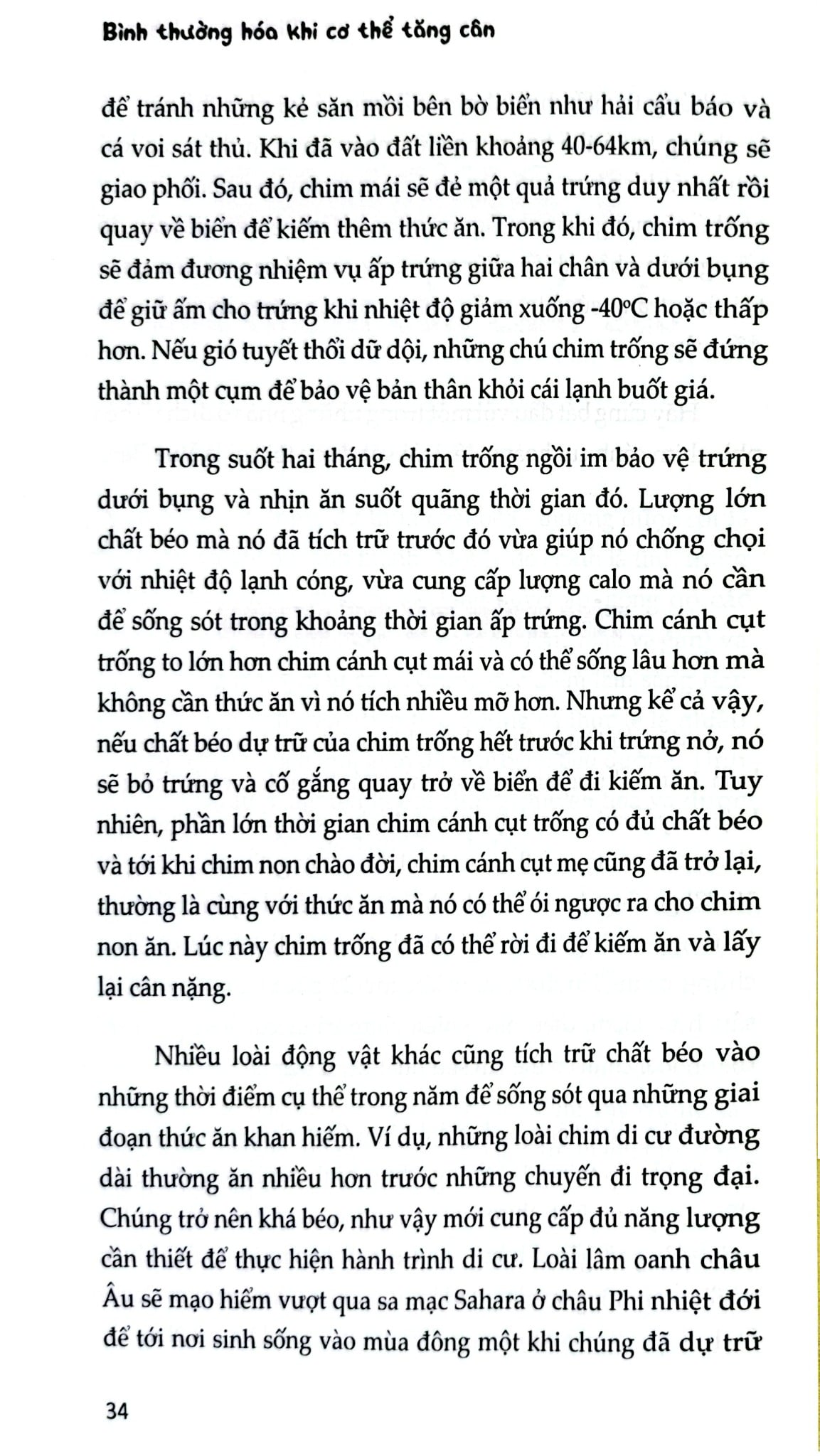 Bình Thường Hóa Khi Cơ Thể Tăng Cân - Richard J.Johnson