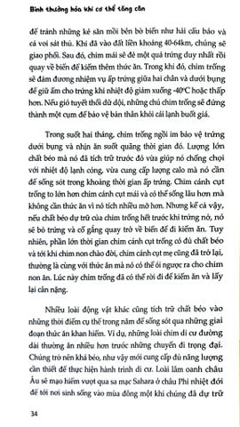  Bình Thường Hóa Khi Cơ Thể Tăng Cân - Richard J.Johnson 